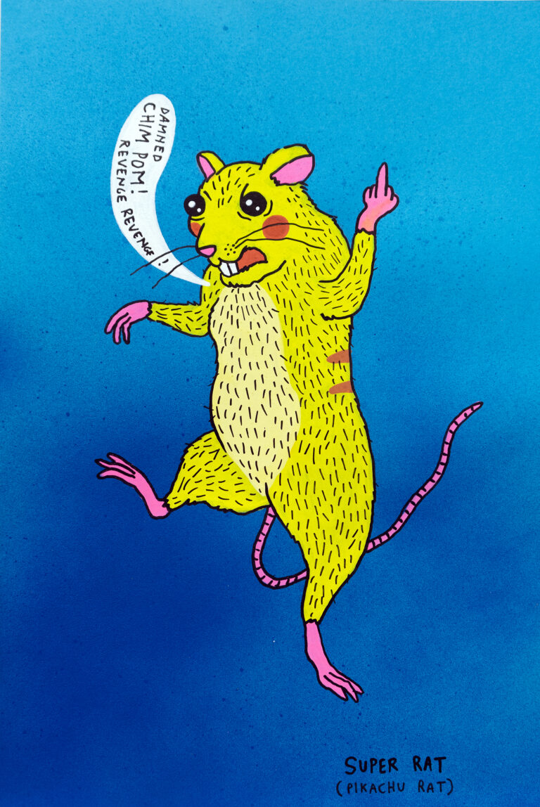 Super rat (Pikachu rat)