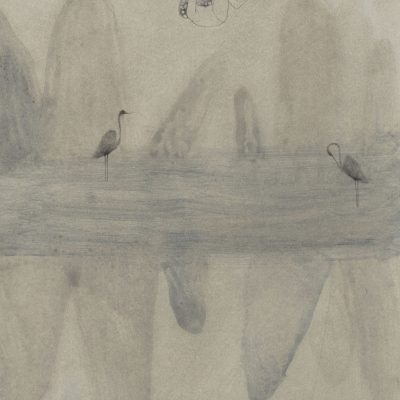 Bertaglia Elisa_Metamorphosis 6 (2014) - Olio, carboncino e grafite su carta - 29.5x20.5cm_Fronte